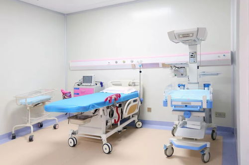 驚嘆龍華 宜居宜業新家園，激發未來新希望